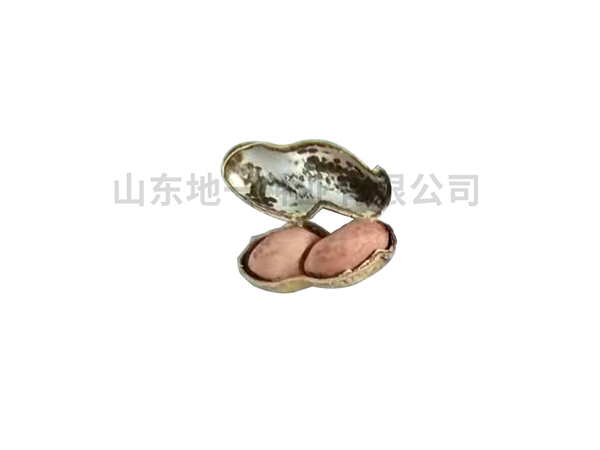 濰花22號生產